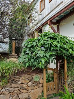 2022-10-GranCan-San_Mateo-43.jpg